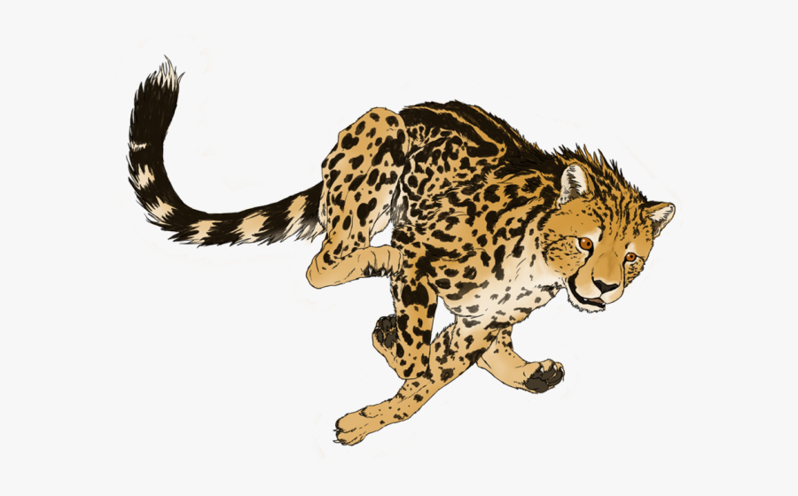Transparent Running Cheetah Clipart - King Cheetah Png, Transparent Clipart