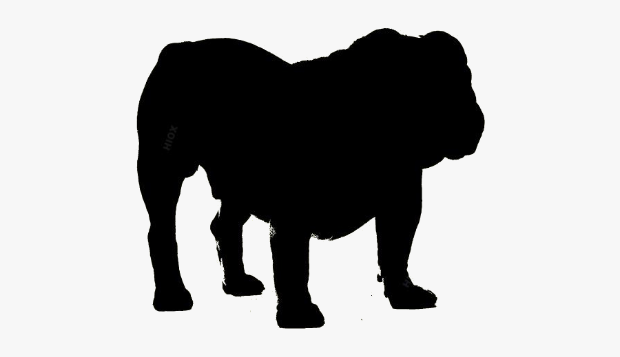 Angry Dog Png Clipart Image For Download - Companion Dog, Transparent Clipart