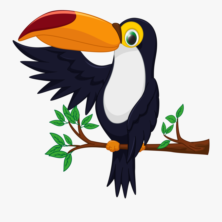 Toucan Bird Clipart, Transparent Clipart