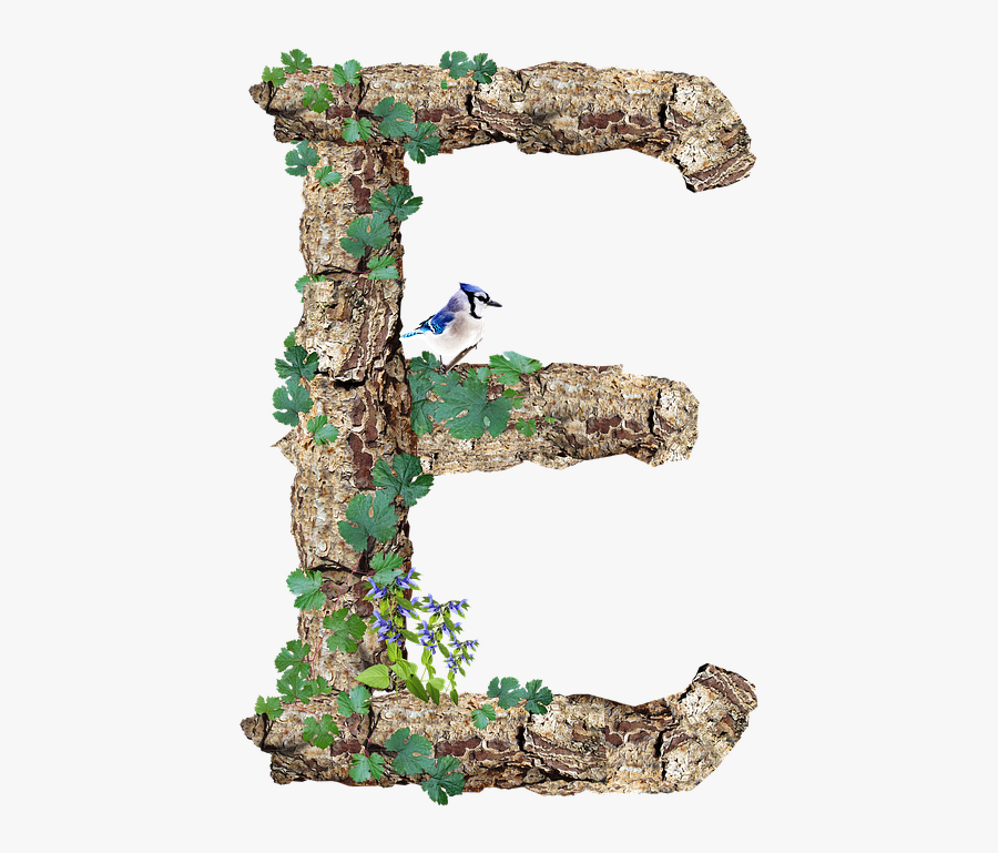 Transparent Bark Clipart - Rustic Letter E, Transparent Clipart