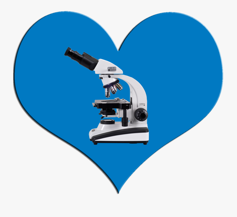 Microscope Clipart , Png Download - Microscope, Transparent Clipart
