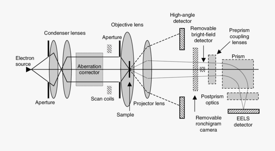 Schematic Of A Scanning - Scanning Transmission Electron Microscope ...