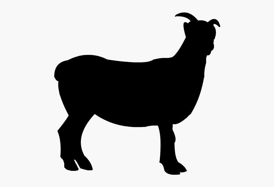 Sheep Boer Goat Clip Art - Gambar Kambing Png, Transparent Clipart