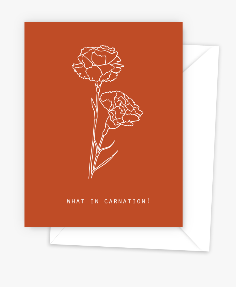 Carnation Png - Paper, Transparent Clipart