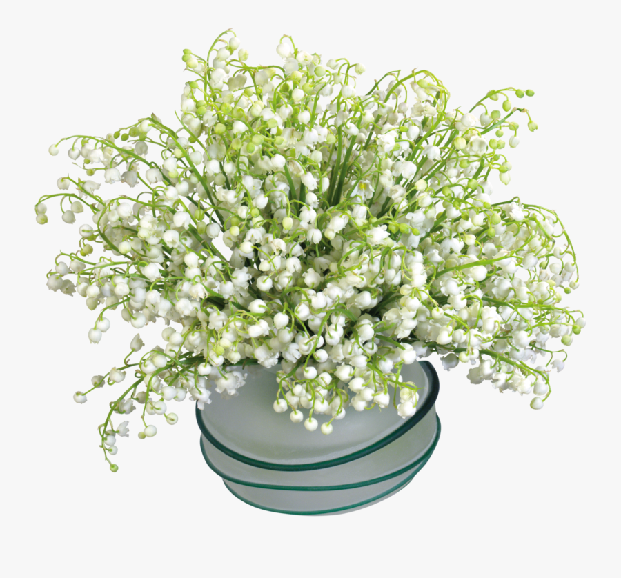 Transparent Lily Of The Valley Png - Ландыши Фото, Transparent Clipart