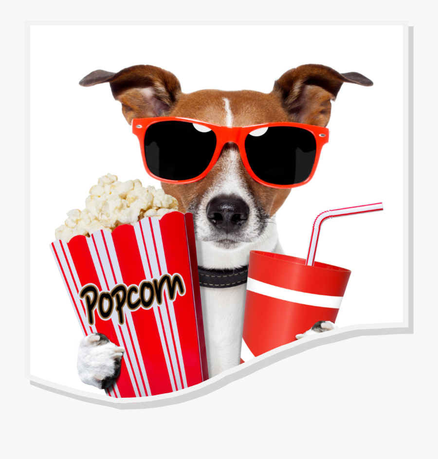Dog - Movie Night, Transparent Clipart