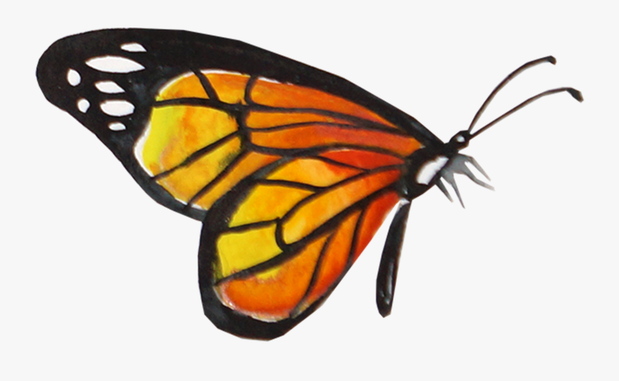 Creative Watercolor Butterfly Monarch Butterfly Transparent