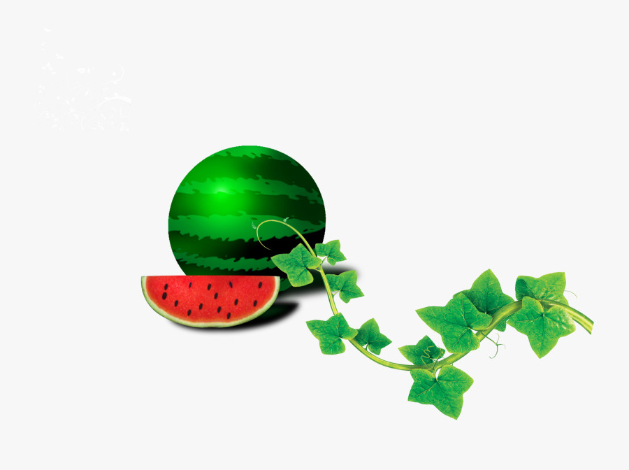 Leaf Drawing Watermelon - Fruit, Transparent Clipart
