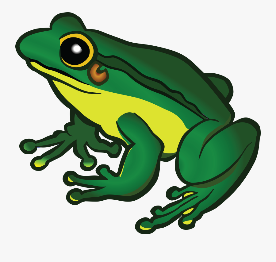 Clipart Image Of Frog, Transparent Clipart