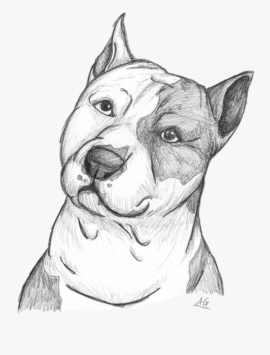 Staffordshire Terrier Drawing, Transparent Clipart