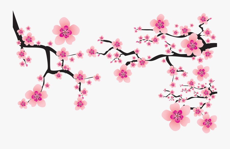 Clip Art Png Images Free Download - Transparent Cherry Blossom Vector, Transparent Clipart