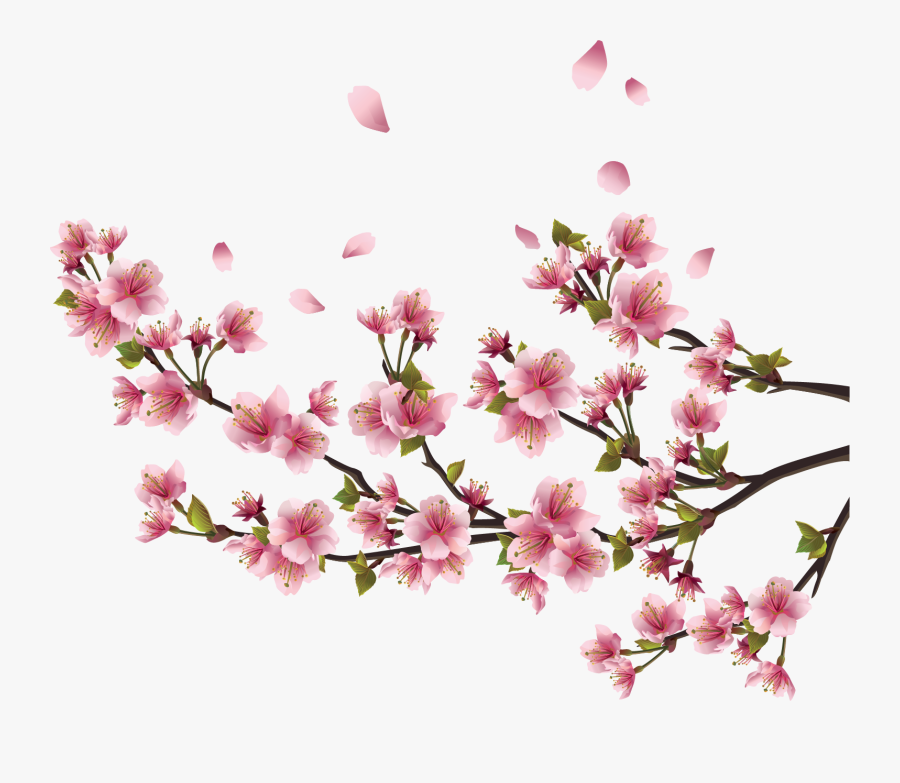 Sakura Png Free Background - Cherry Blossom Branch Border , Free