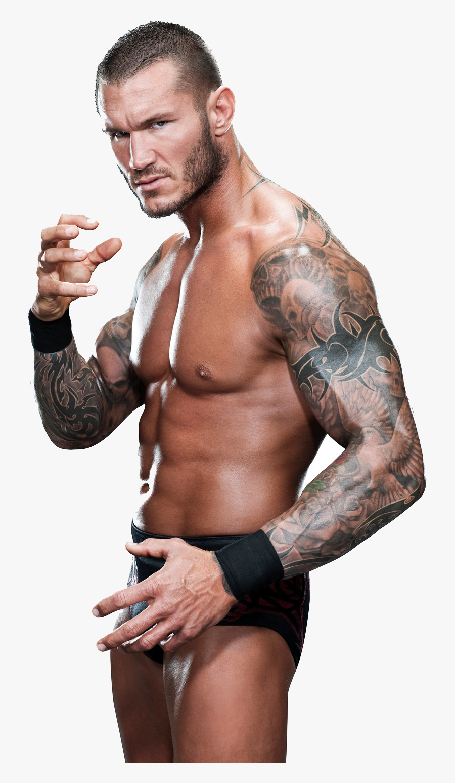 Wwe Freetoedit - Papa De Randy Orton, Transparent Clipart