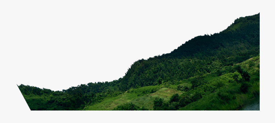 Mountain Png Download - Tree Mountains Png, Transparent Clipart