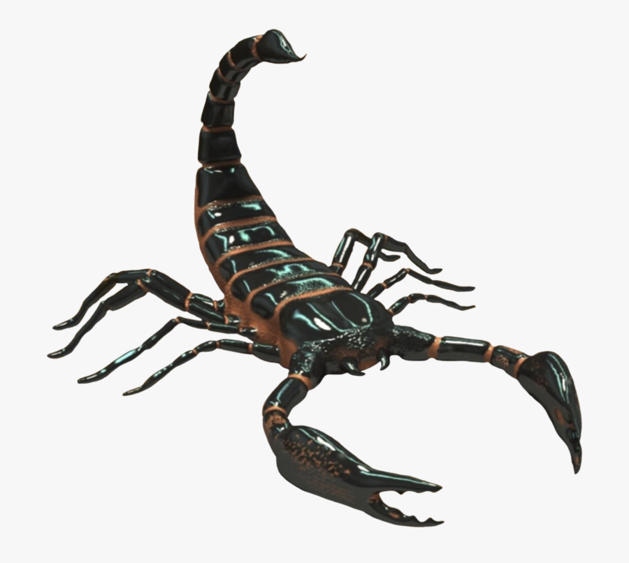 Clip Art Scorpion Desktop Wallpaper Clip - Transparent Background Scorpion Png, Transparent Clipart