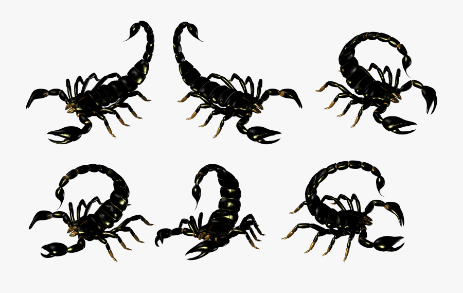 Scorpions Clip Art - Scorpion, Transparent Clipart