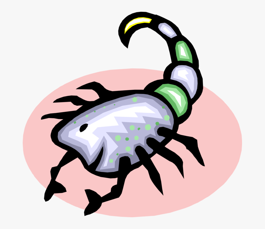 Vector Illustration Of Predatory Arachnid Scorpion - Illustration, Transparent Clipart