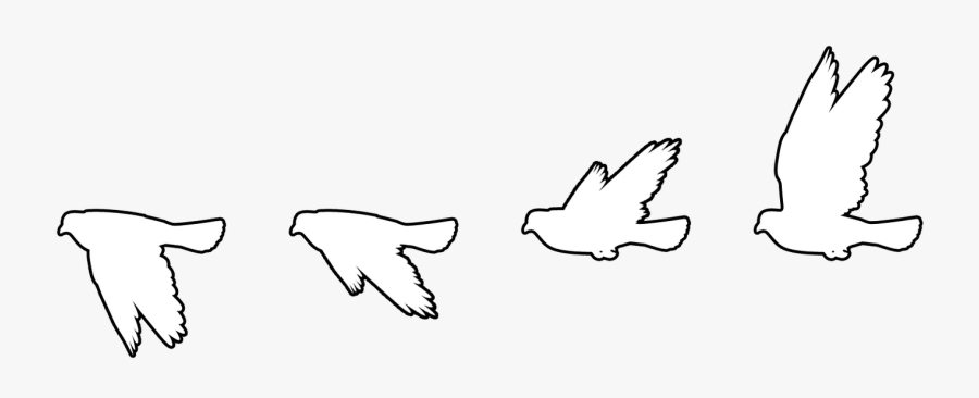 Flying Bird Vectors Google - Simple Flying Small Bird Drawings, Transparent Clipart