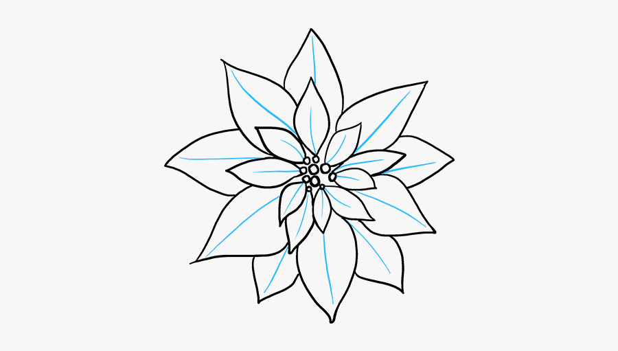 How To Draw Poinsettia - Poinsettia Simple Drawing, Transparent Clipart