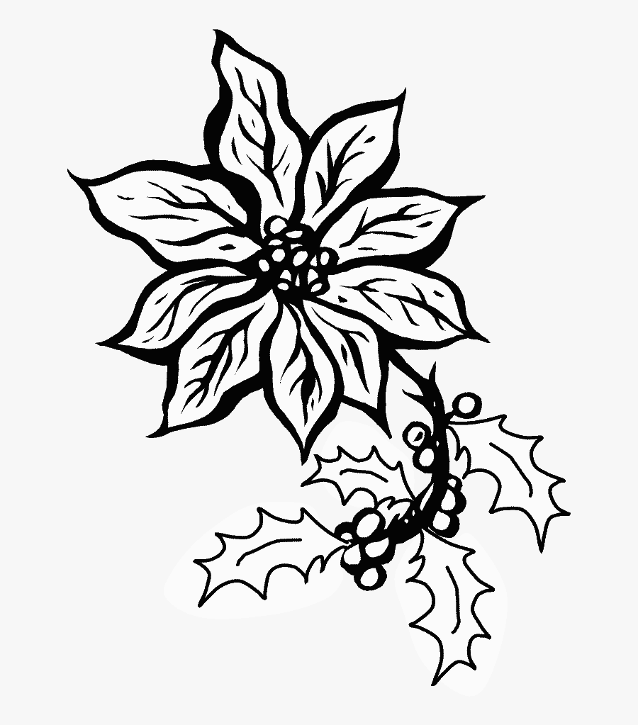 Poinsettia5 Holidays Coloring Pages - Clip Art Poinsettias Black And White, Transparent Clipart