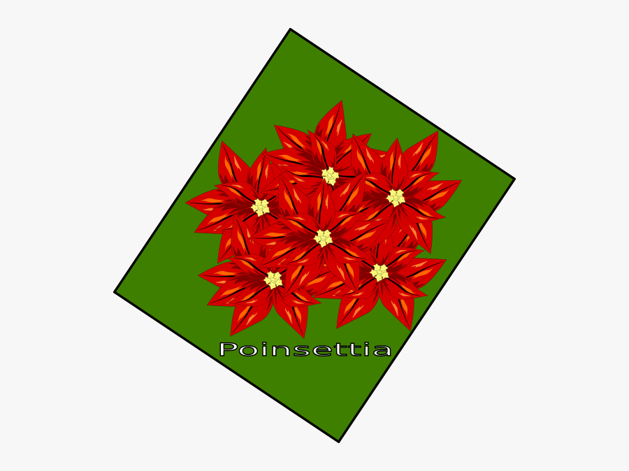 Poinsettia Clipart, Transparent Clipart