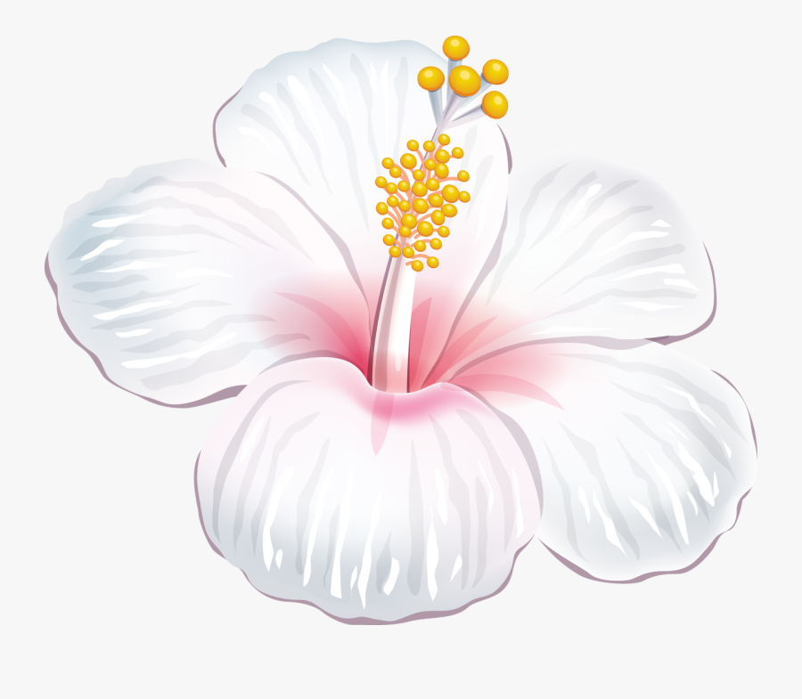 Luau Clipart Purple Hawaiian Flower - White Hawaiian Flower Png, Transparent Clipart