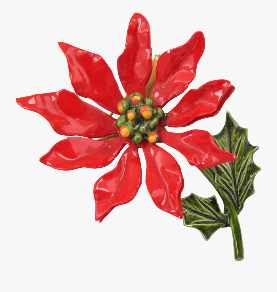 1641 X 1641 - Poinsettia, Transparent Clipart