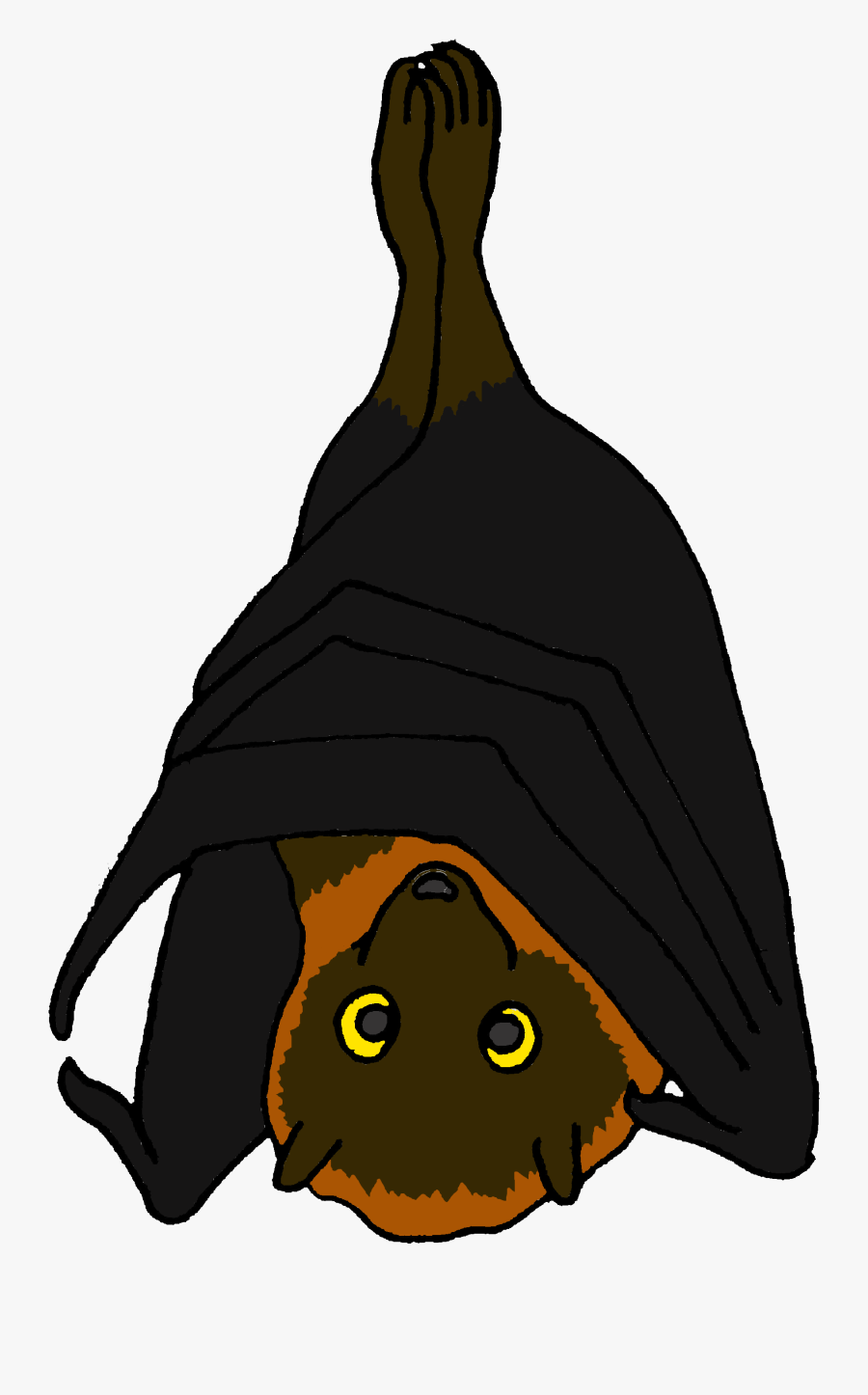Transparent Fruit Bat Clipart - Cartoon Picture Of A Fruit Bat, Transparent Clipart