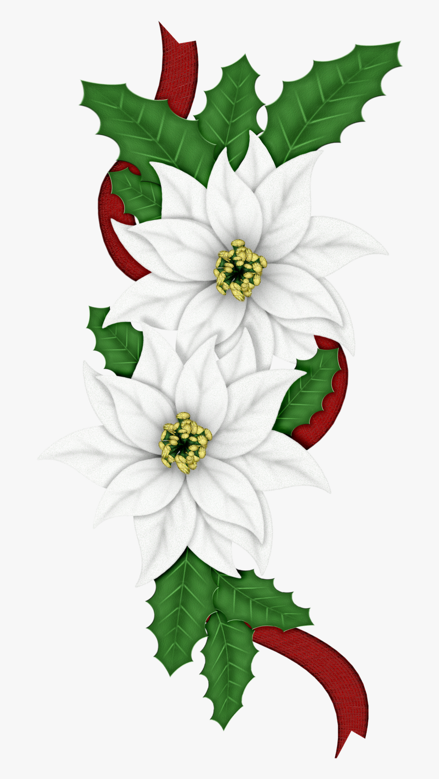 Edelweiss Png - Edelweiss Png Clipart, Transparent Clipart