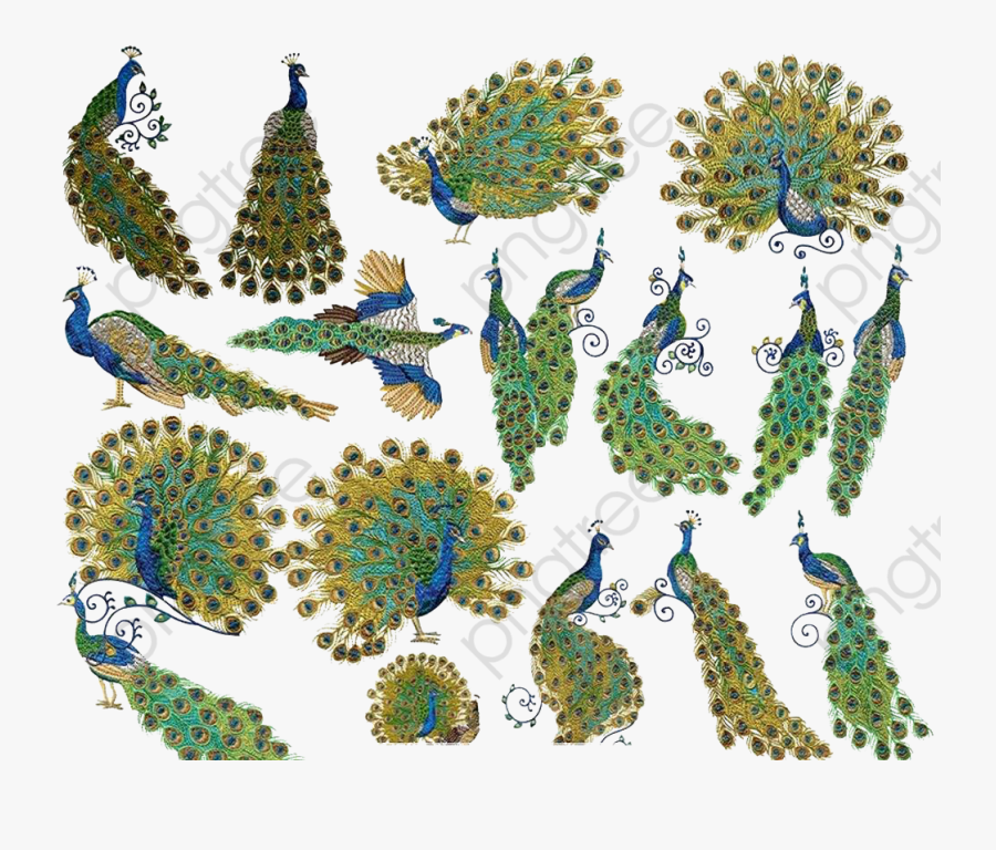 Peacock Design, Peacock Clipart, Peacock Tail, Animal - Хвост Павлина Пнг, Transparent Clipart