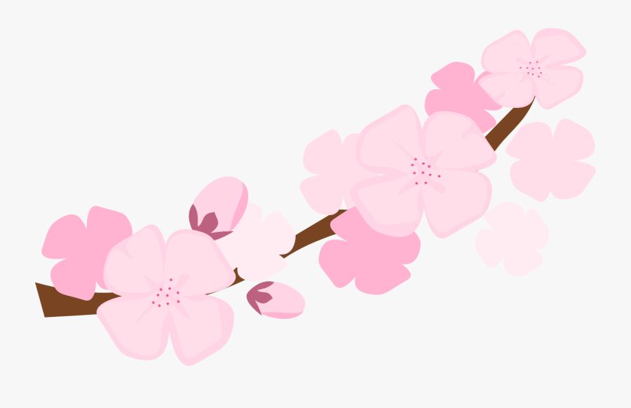 Clip Art Free Cliparts Download - Cherry Blossom Clipart Png, Transparent Clipart