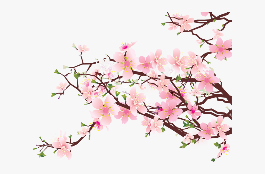 Cherry Blossom Clip Art - Cherry Blossoms No Background, Transparent Clipart