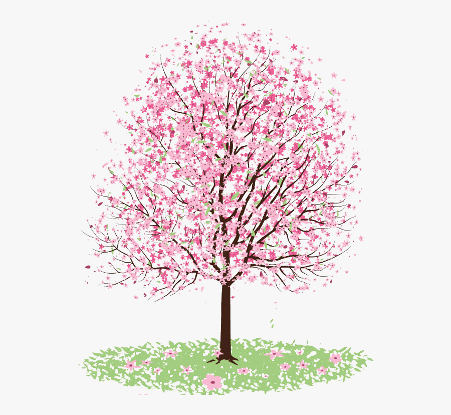 28 Collection Of Cherry Clipart Tumblr - Simple Cherry Blossom Tree Drawing, Transparent Clipart