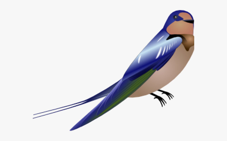 Peacock Clipart Burung - Swallows Bird Line Art, Transparent Clipart
