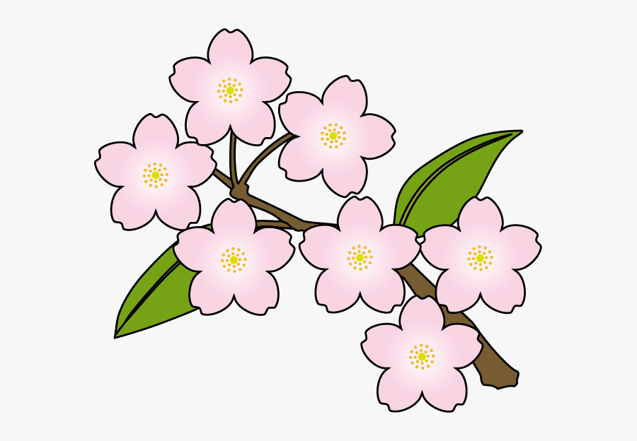 Sakura Flower Clipart, Transparent Clipart