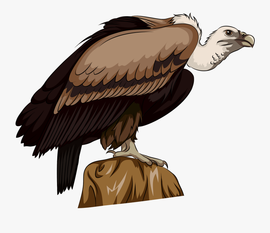 Buzzard, Transparent Clipart