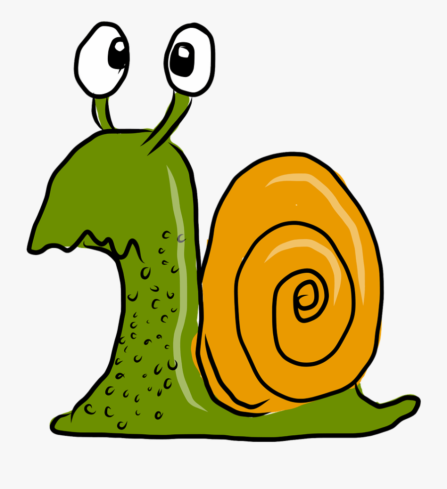 Snails Love Cartoon, Transparent Clipart