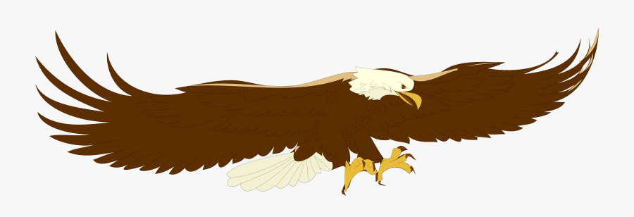 Top Bald Eagle Clipart Free Image - Flying Eagle Clip Art, Transparent Clipart
