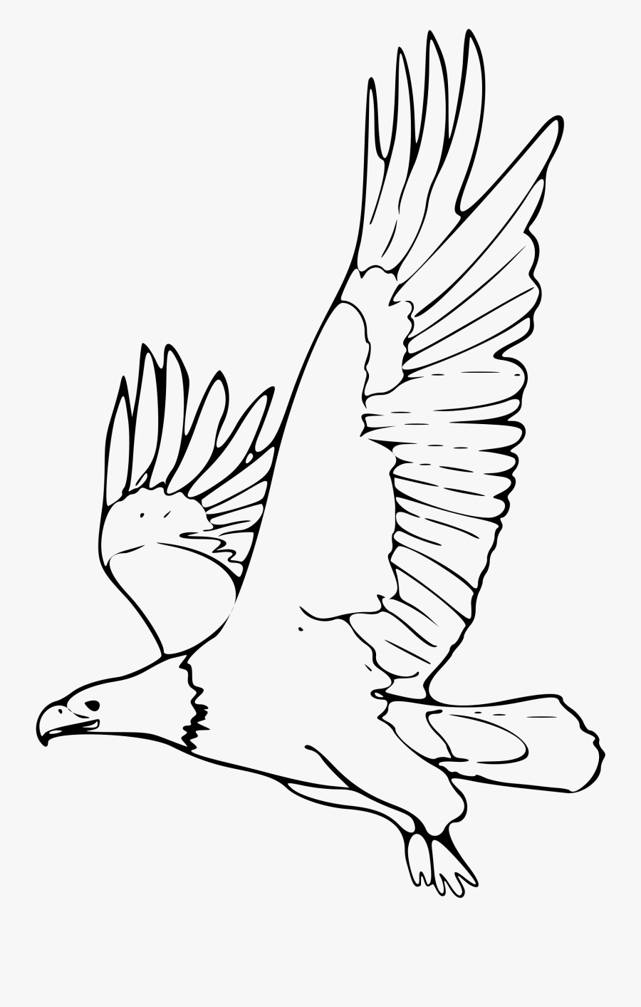 Clipart Coloring Book Bald Eagle 2 Remix - Dibujos De Animales En Peligro De Extincion, Transparent Clipart