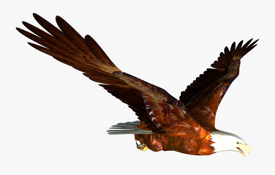 Eagle Clipart - Eagle Flying Clipart Gif, Transparent Clipart