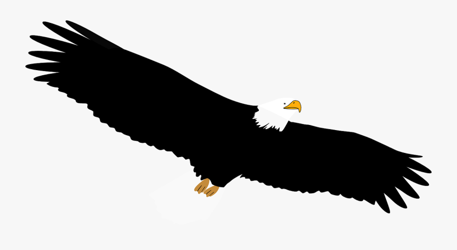 Bald Eagle,eagle,vulture - Bald Eagle, Transparent Clipart