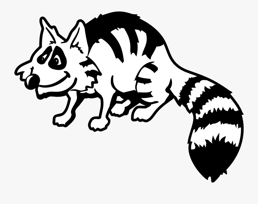 Raccoon - Raccoon Clipart Black And White, Transparent Clipart