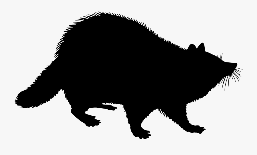 Raccoon Silhouette Drawing Logo - Raccoon Silhouette Clip Art, Transparent Clipart
