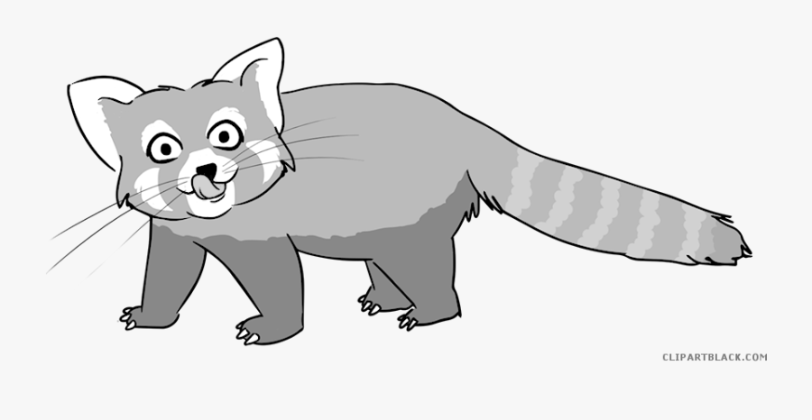 Raccoon Clipartblack Com Animal - Transparent Red Panda, Transparent Clipart