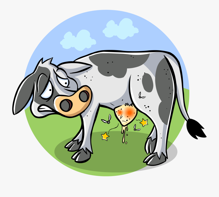 Drawing Of An Ill Cow Free Image - Veterinary Medicine, Transparent Clipart