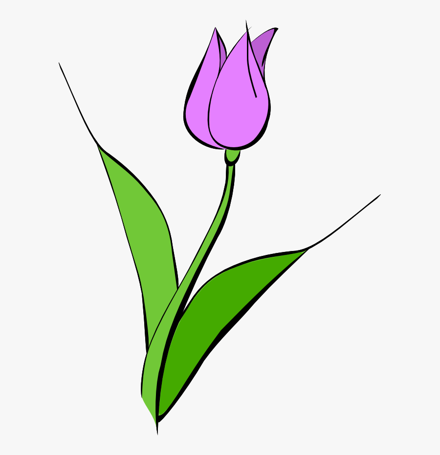 Clip Art Tulip - Pink Tulips Clipart, Transparent Clipart