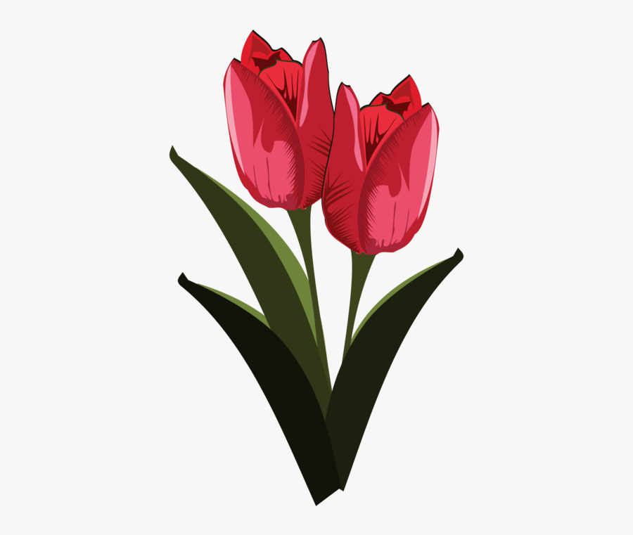 Tulip Free To Use Clip Art - Public Domain Clip Art Flower, Transparent Clipart