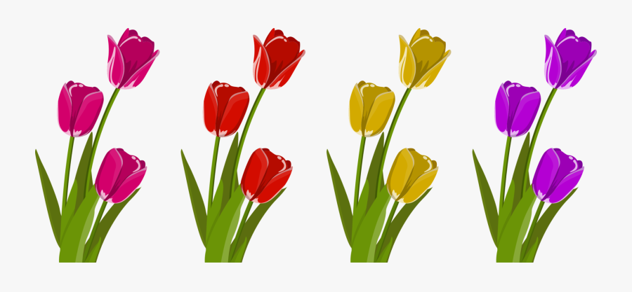 Plant,flower,meadow - Tulip Close Clipart , Free Transparent Clipart ...