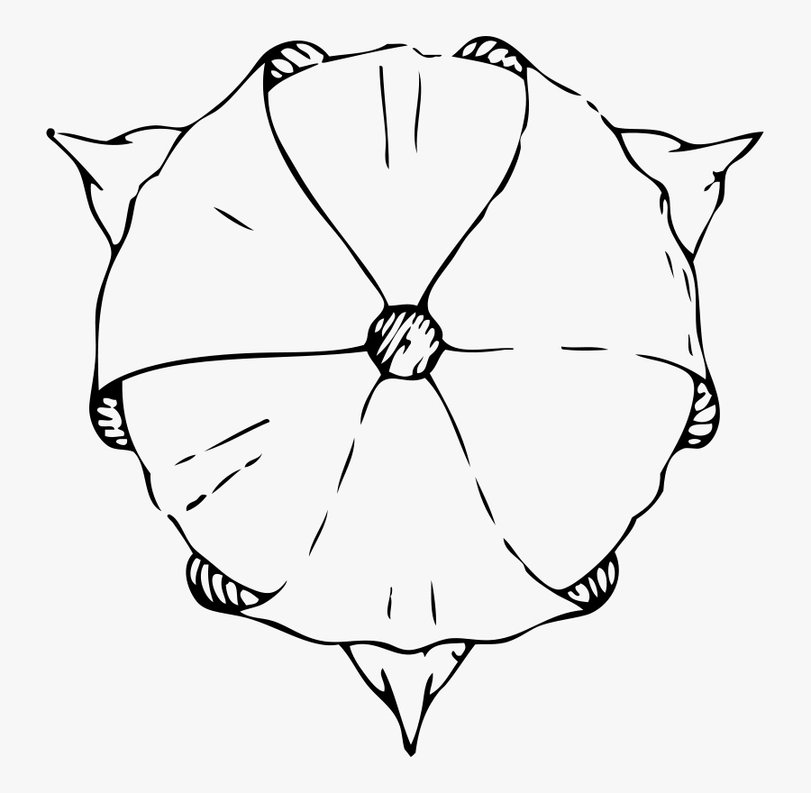 Tulip From The Top Drawing, Transparent Clipart