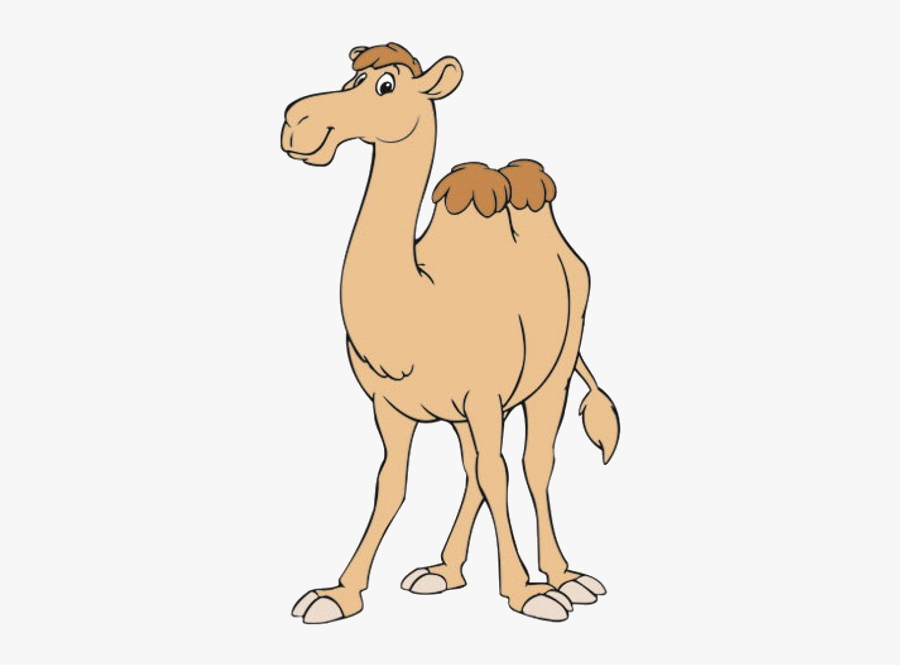 Funny Camel Clipart - Arabian Camel, Transparent Clipart